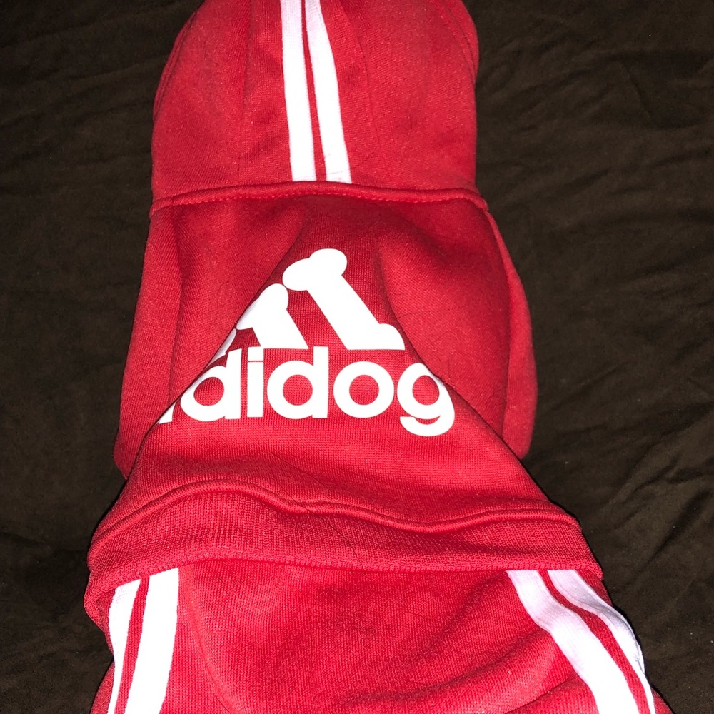 Brand new medium sweatsuit for puppy.